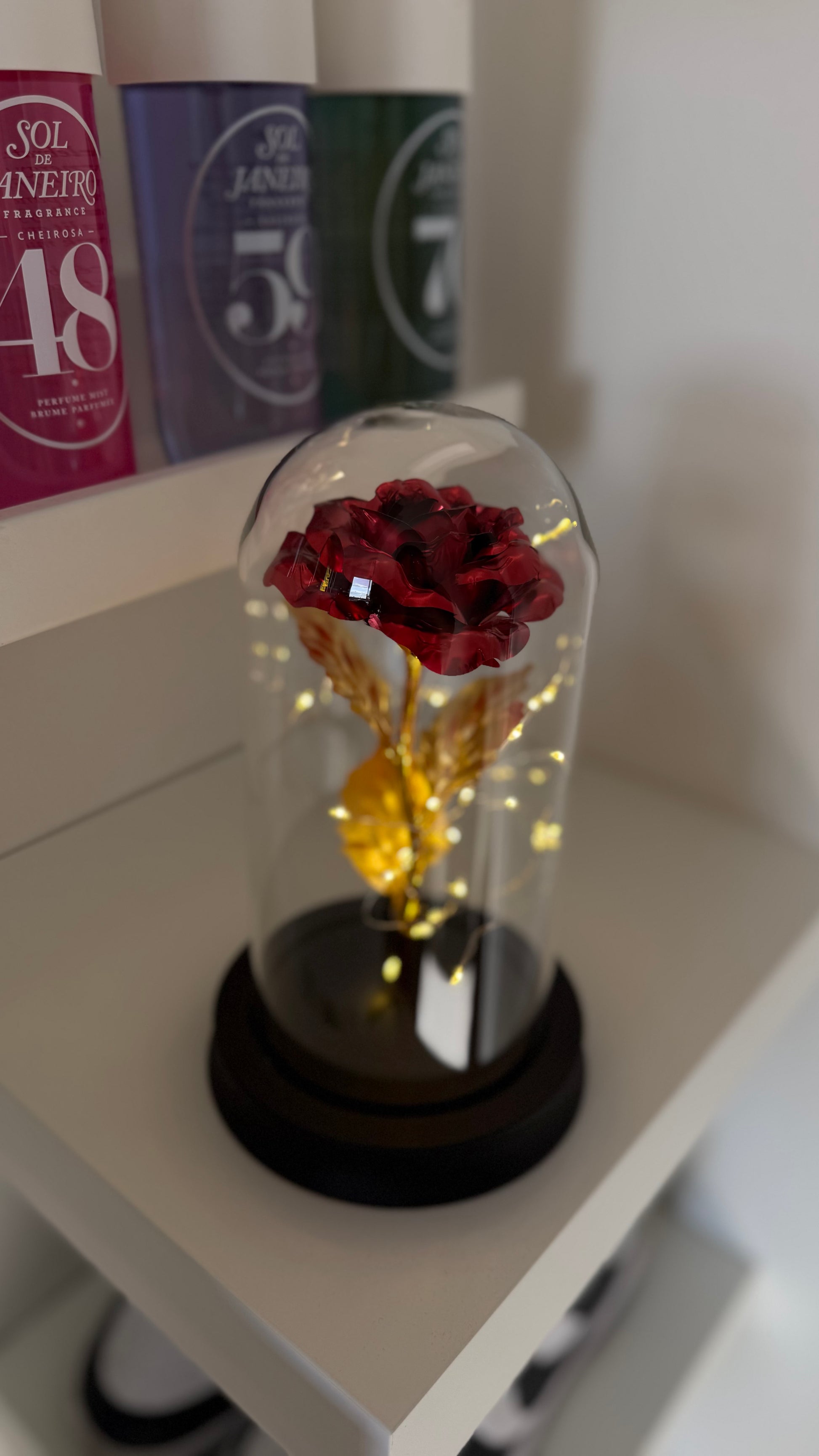 Rose Éternelle Lumineuse sous Cloche – Rouge ❤️