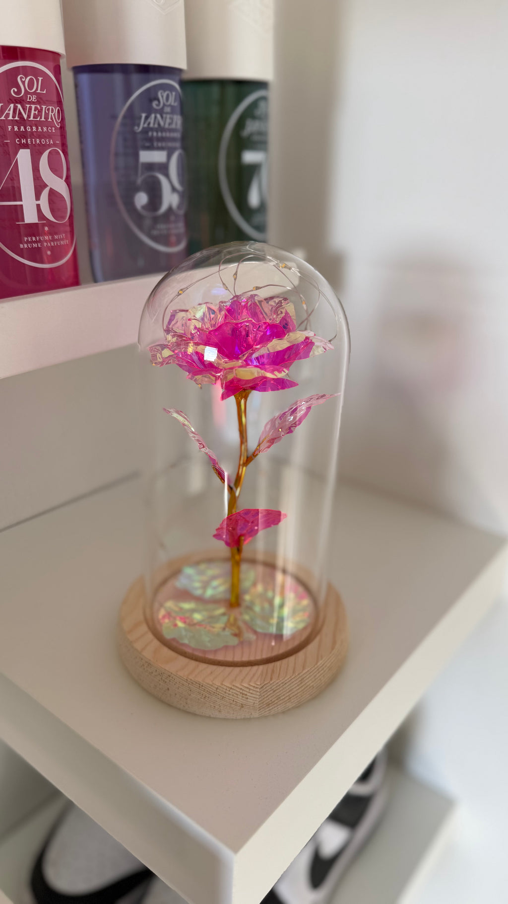 Rose Éternelle Rose sous Cloche 🩷