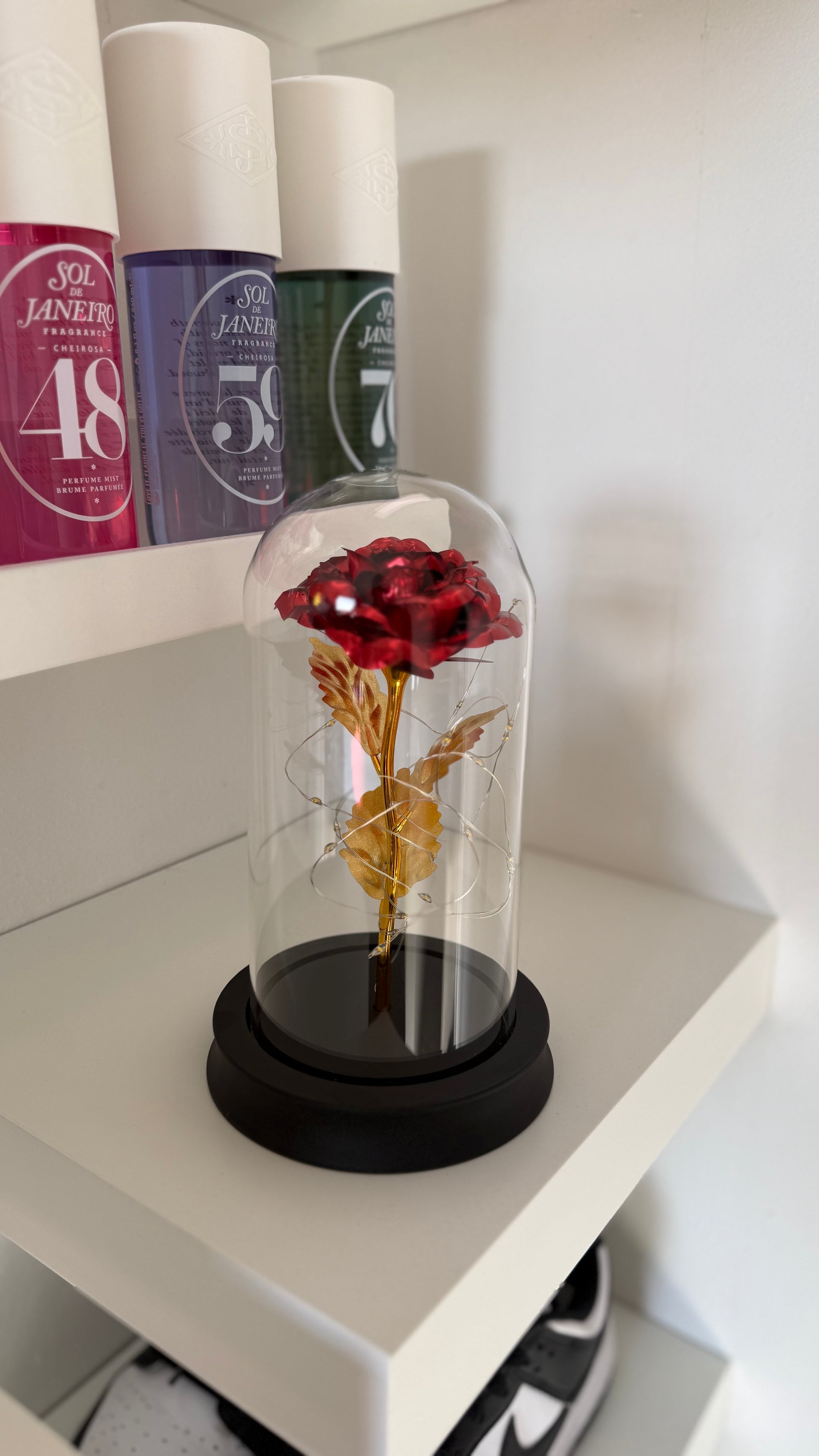 Rose Éternelle Lumineuse sous Cloche – Rouge ❤️