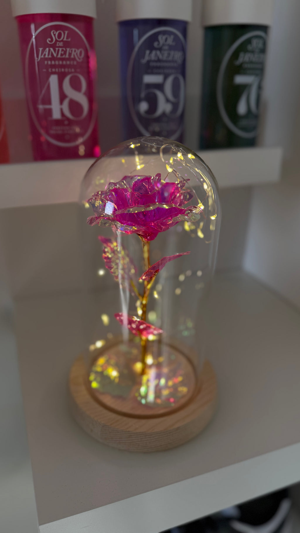 Rose Éternelle Rose sous Cloche 🩷