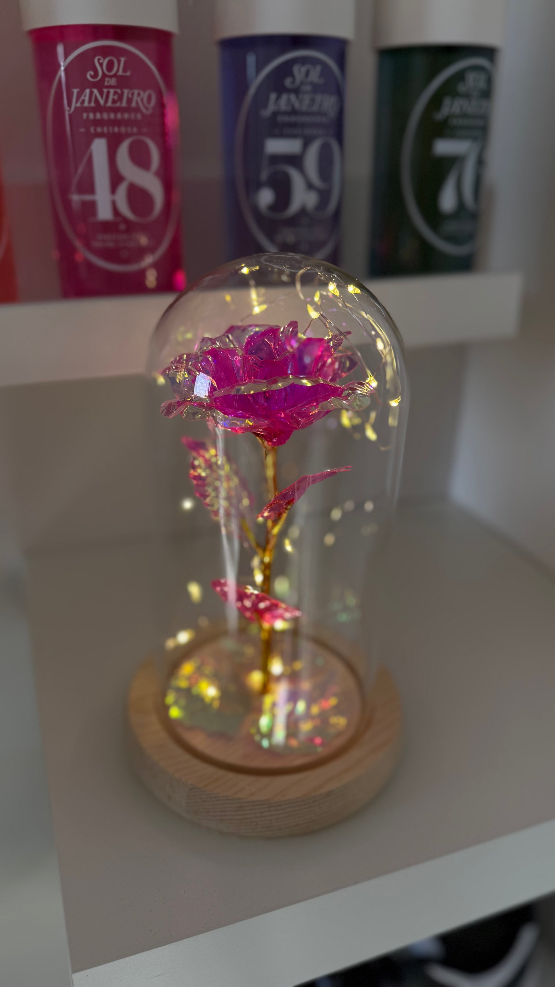 Rose Éternelle Rose sous Cloche 🩷