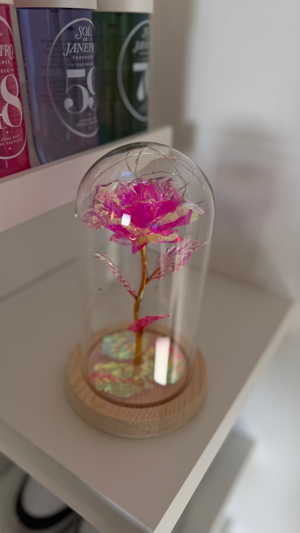 Rose Éternelle Rose sous Cloche 🩷