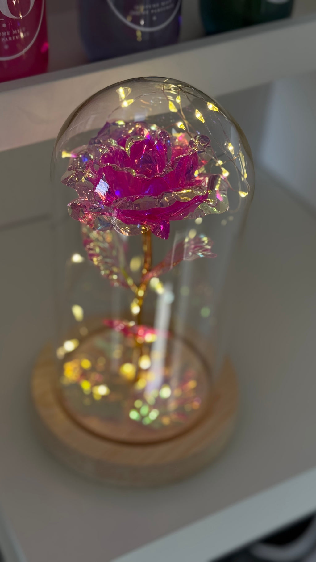 Rose Éternelle Rose sous Cloche 🩷