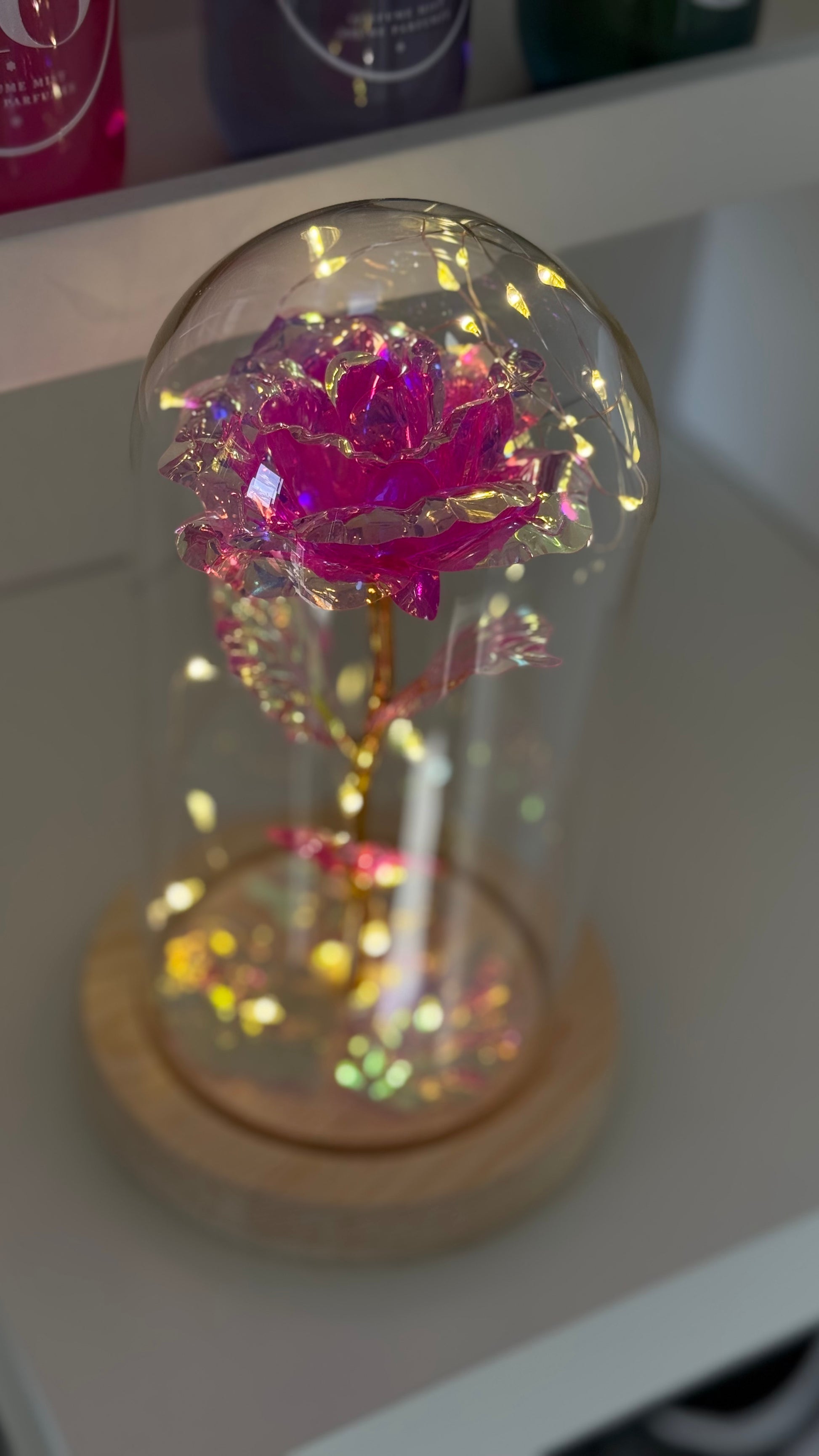 Rose Éternelle Rose sous Cloche 🩷