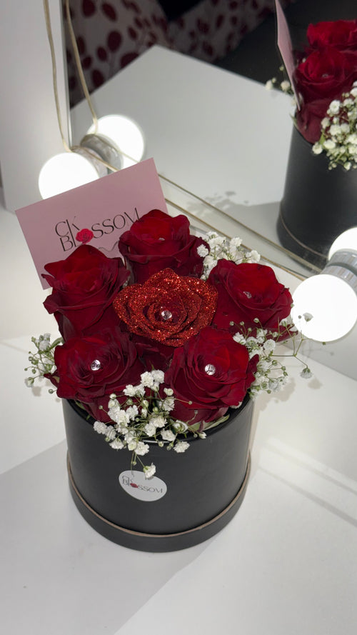 Box Signature CK 💎